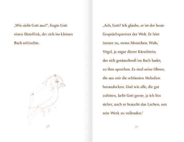 Produktbild: "Wie sehe ich aus?", fragte Gott