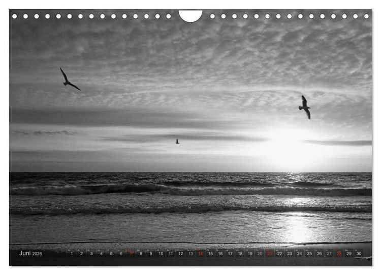 Produktbild: 54&deg;54'57"N 8&deg;19'51"E SYLT (Wandkalender 2026 DIN A4 quer), CALVENDO Monatskalender