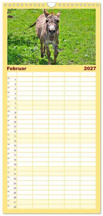 Produktbild: Familienplaner 2027 - Liebenswerte Esel mit 5 Spalten (Wandkalender, 21 x 45 cm) CALVENDO