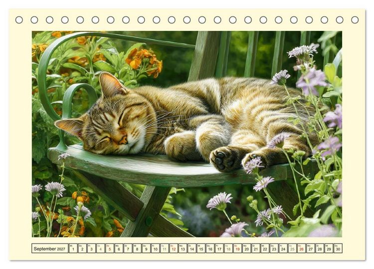 Produktbild: Sch&ouml;ne Katzen. Beliebte Samtpfoten im Garten (Tischkalender 2027 DIN A5 quer), CALVENDO Monatskalender