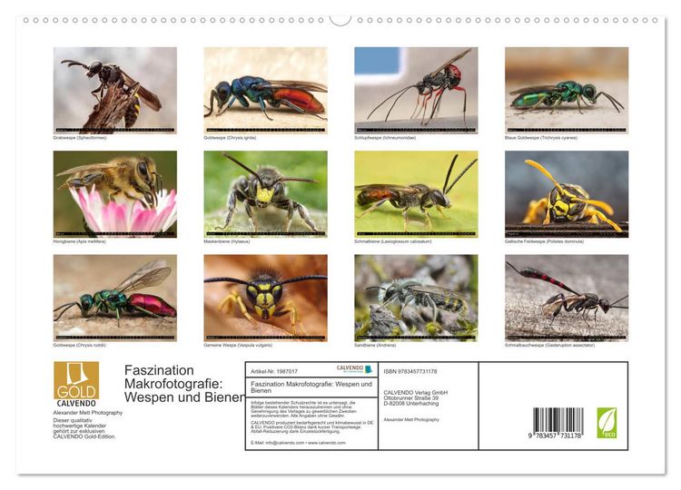 Produktbild: Faszination Makrofotografie: Wespen und Bienen (hochwertiger Premium Wandkalender 2026 DIN A2 quer), Kunstdruck in Hochglanz