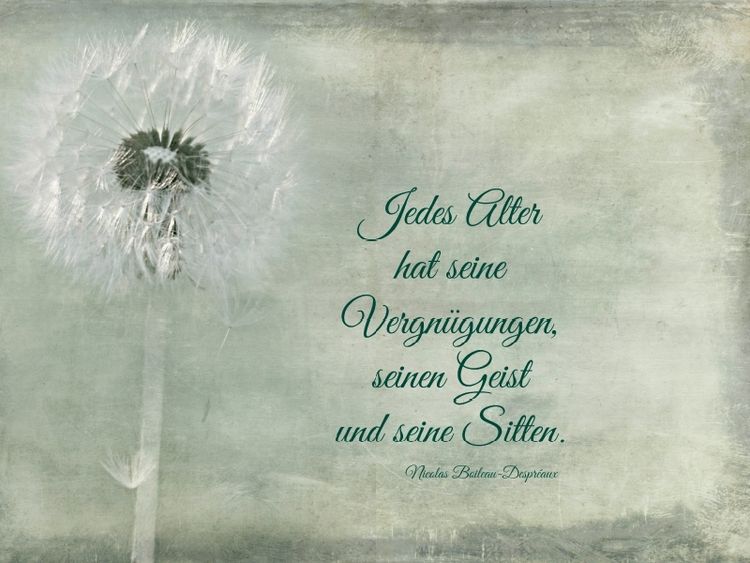 Produktbild: CALVENDO Puzzle Jedes Alter hat seine Reize | 1000 Teile Lege-Gr&ouml;&szlig;e 64x48cm Foto-Puzzle f&uuml;r gl&uuml;ckliche Stunden