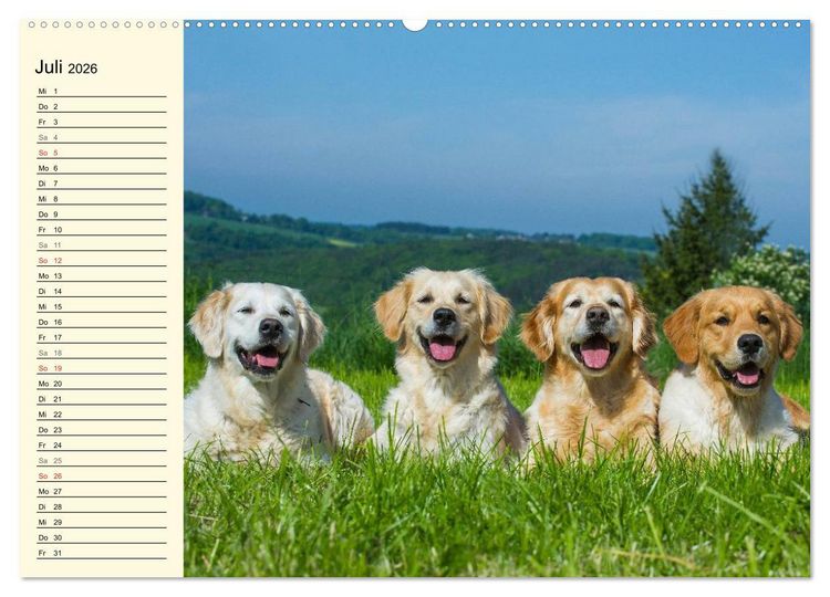 Produktbild: Das Gl&uuml;ck hat einen Namen - Golden Retriever (Wandkalender 2026 DIN A2 quer), CALVENDO Monatskalender
