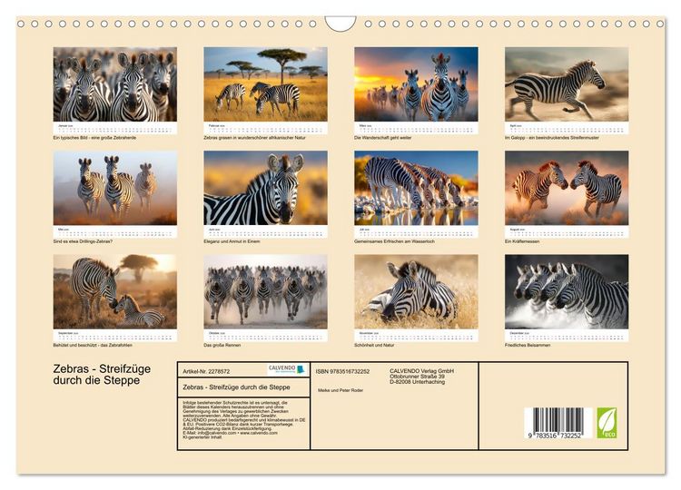 Produktbild: Zebras - Streifz&uuml;ge durch die Steppe (Wandkalender 2026 DIN A3 quer), CALVENDO Monatskalender