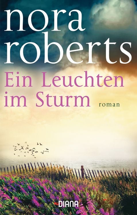 Produktbild: Ein Leuchten im Sturm