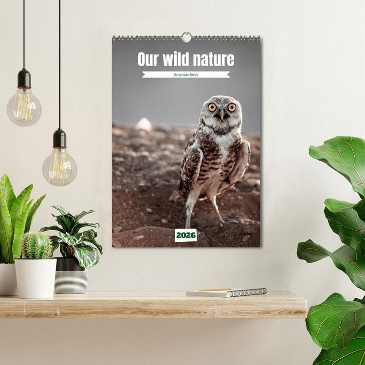 Produktbild: Our wild nature, American birds (Wall Calendar 2026 DIN A3 portrait), CALVENDO 12 Month Wall Calendar