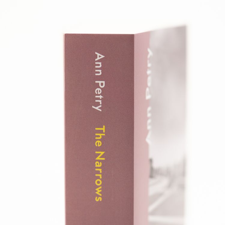 Produktbild: The Narrows
