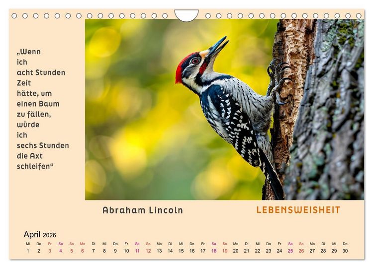 Produktbild: Pfiffig und weise (Wandkalender 2026 DIN A4 quer), CALVENDO Monatskalender