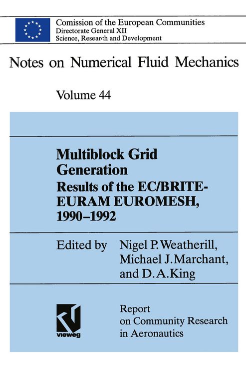 Produktbild: Multiblock Grid Generation