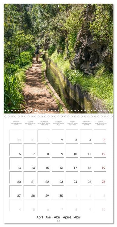 Produktbild: Portugal - Madeira (Wall Calendar 2026 12 &times; 12 Inch) CALVENDO 12 Month Wall Calendar