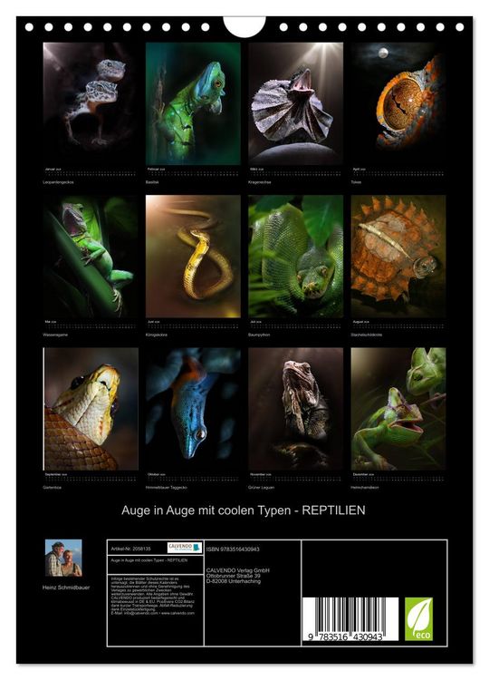 Produktbild: Auge in Auge mit coolen Typen - REPTILIEN (Wandkalender 2026 DIN A4 hoch), CALVENDO Monatskalender