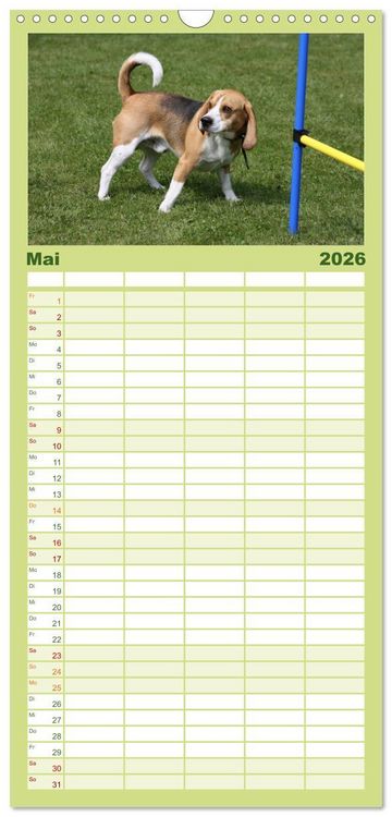 Produktbild: Familienplaner 2026 - Beagle mit 5 Spalten (Wandkalender, 21 x 45 cm) CALVENDO