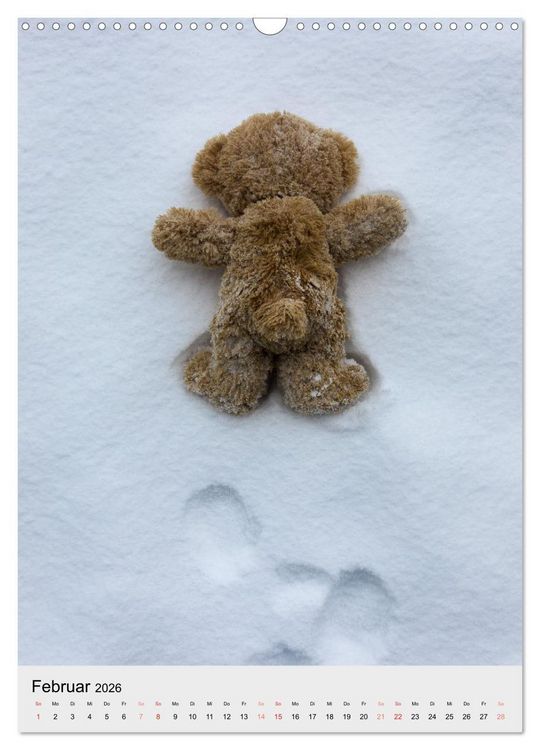 Produktbild: Travelling Teddy liebt es Bunt (Wandkalender 2026 DIN A3 hoch), CALVENDO Monatskalender