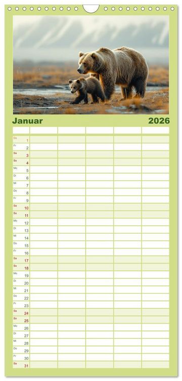 Produktbild: Familienplaner 2026 - Wildes B&auml;renland mit 5 Spalten (Wandkalender, 21 x 45 cm) CALVENDO