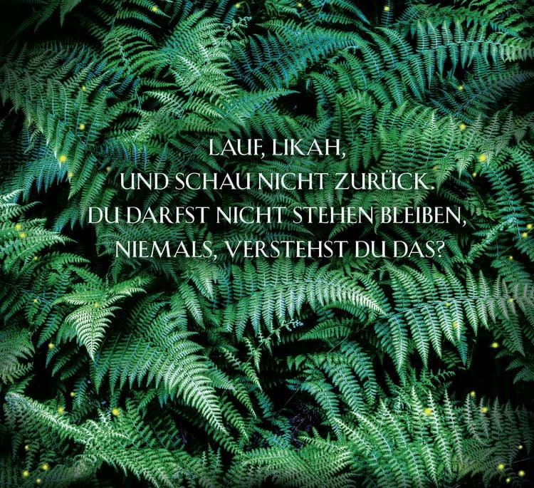 Produktbild: Die Erbin des Windes
