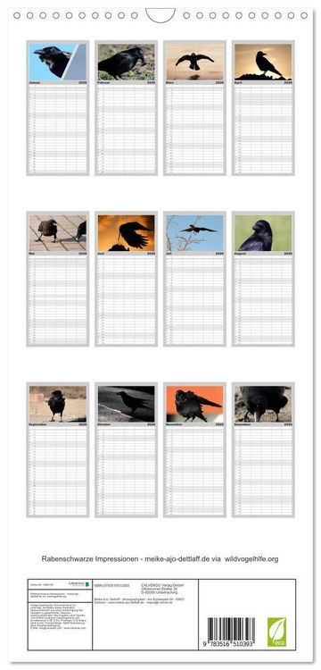 Produktbild: Familienplaner 2026 - Rabenschwarze Impressionen - meike-ajo-dettlaff.de via wildvogelhlfe.org mit 5 Spalten (Wandkalender, 21 x 45 cm) CALVENDO