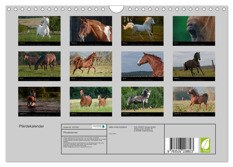 Produktbild: Pferdekalender (Wandkalender 2026 DIN A4 quer), CALVENDO Monatskalender