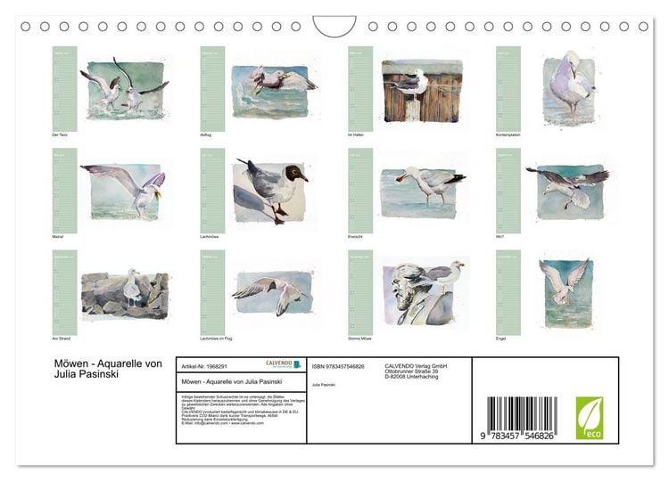 Produktbild: M&ouml;wen - Aquarelle von Julia Pasinski (Wandkalender 2026 DIN A4 quer), CALVENDO Monatskalender
