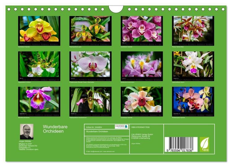 Produktbild: Wunderbare Orchideen (Wandkalender 2027 DIN A4 quer), CALVENDO Monatskalender