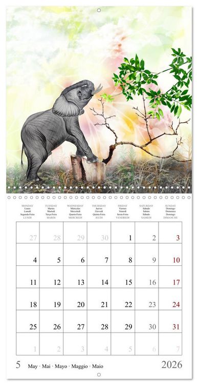 Produktbild: Grands et doux Les &eacute;l&eacute;phants (Calendrier mural carr&eacute; 2026 30x30 cm) Calendrier double avec une page pour vos prises de notes
