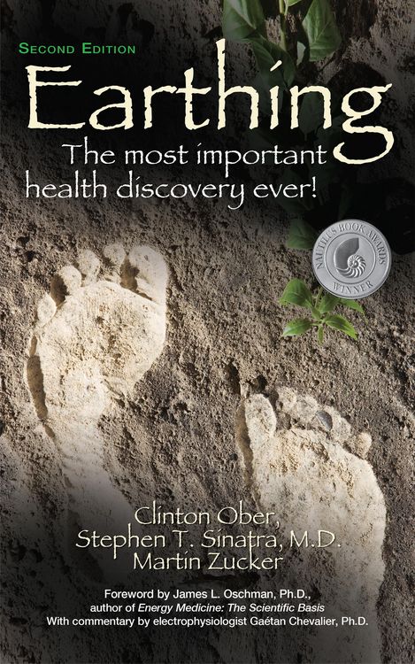 Produktbild: Earthing (2nd Edition)