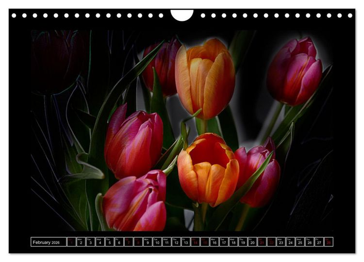Produktbild: Mysterious plant portraits (Wall Calendar 2026 DIN A4 landscape), CALVENDO 12 Month Wall Calendar
