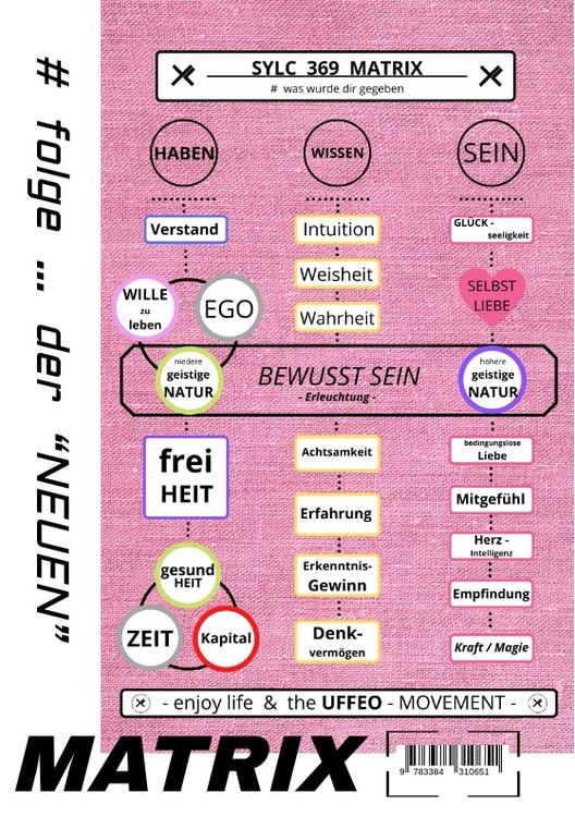 Produktbild: SYLC 369 MATRIX : Der WERTE - Kompass / Version : XS