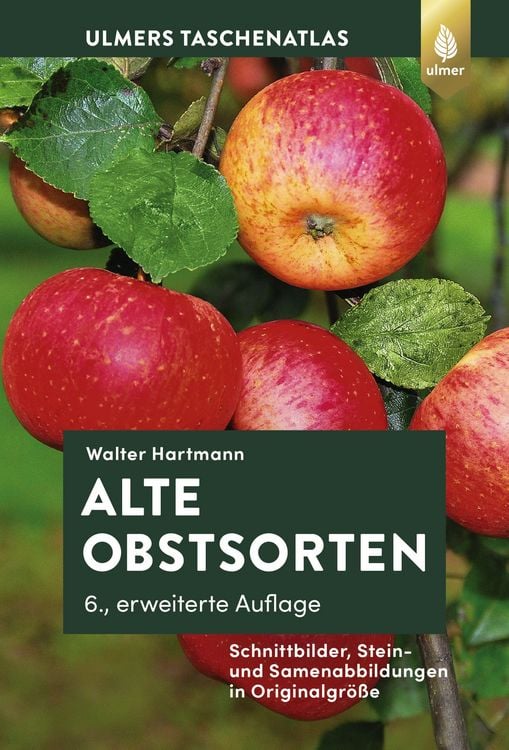 Produktbild: Alte Obstsorten