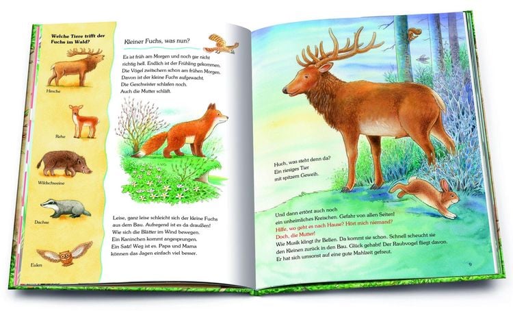 Produktbild: Unser Wald und seine Tiere. Die sch&ouml;nsten Geschichten mit vielen Sachinformationen