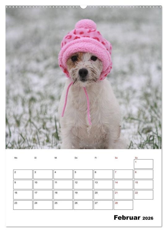Produktbild: Tender Fellows - Parson Russell Terrier (Wandkalender 2026 DIN A2 hoch), CALVENDO Monatskalender