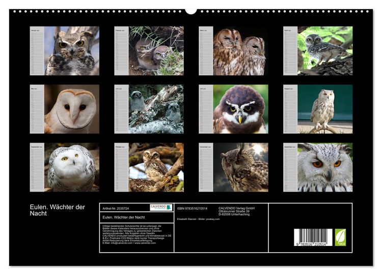 Produktbild: Eulen. W&auml;chter der Nacht (hochwertiger Premium Wandkalender 2026 DIN A2 quer), Kunstdruck in Hochglanz