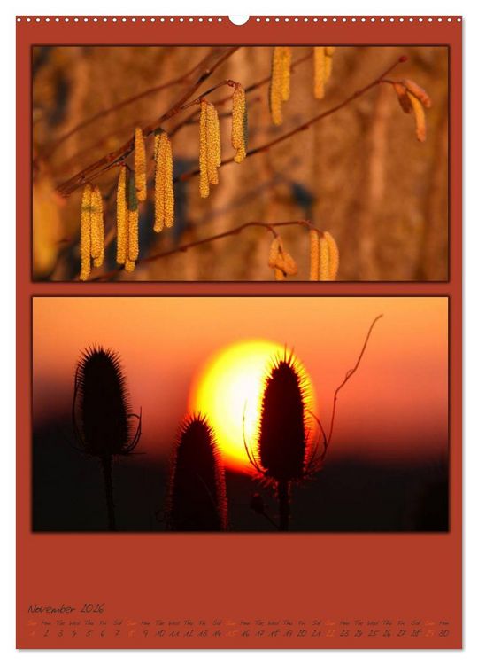 Produktbild: Colours of Nature / UK-Version (High Quality Premium Wall Calendar 2026 DIN A2 portrait),CALVENDO 12 Month Wall Calendar