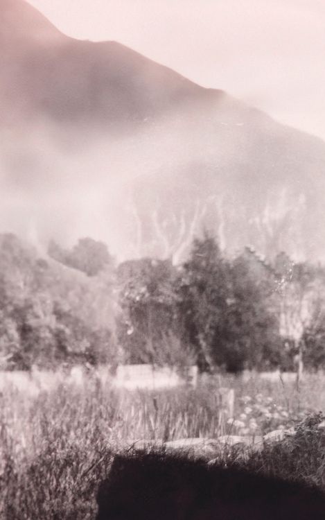 Produktbild: Rilke in der Schweiz