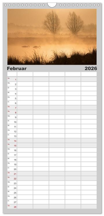 Produktbild: Familienplaner 2026 - Der H&ouml;ckerschwan elegant und stolz mit 5 Spalten (Wandkalender, 21 x 45 cm) CALVENDO