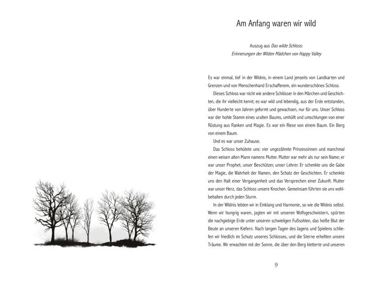 Produktbild: The Wilderness of Girls