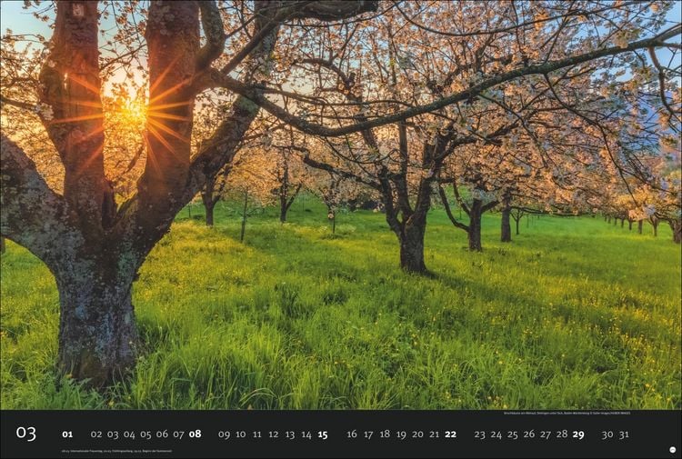 Produktbild: Deutschlands Naturparadiese Kalender 2026