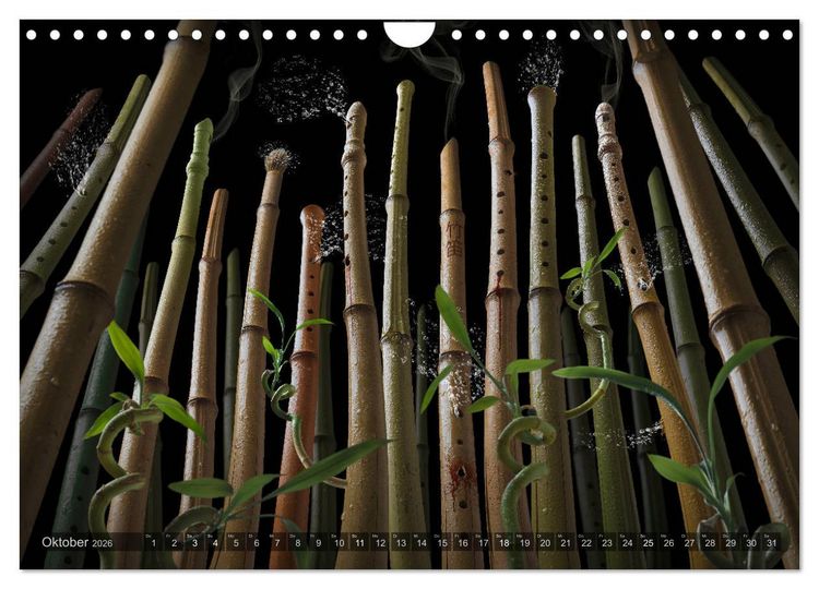 Produktbild: Musica fant&aacute;sia - Die wundersame Welt des Fotok&uuml;nstlers Olaf Bruhn (Wandkalender 2026 DIN A4 quer), CALVENDO Monatskalender