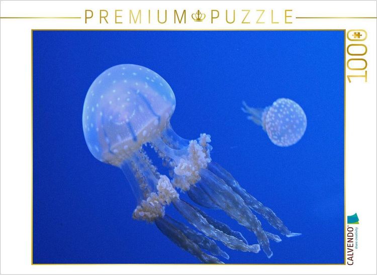 Produktbild: CALVENDO Puzzle Ein Motiv aus dem Kalender Quallen. Die Welt der Medusen | 1000 Teile Lege-Gr&ouml;&szlig;e 64x48cm Foto-Puzzle f&uuml;r gl&uuml;ckliche Stunden