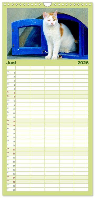 Produktbild: Familienplaner 2026 - Katzen mit 5 Spalten (Wandkalender, 21 x 45 cm) CALVENDO
