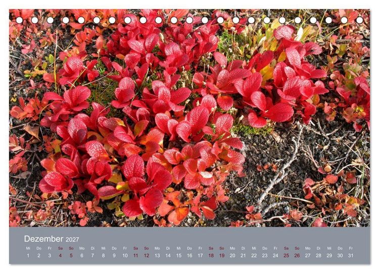 Produktbild: Kamtschatka - Vulkane, Asche, Eis (Tischkalender 2027 DIN A5 quer), CALVENDO Monatskalender