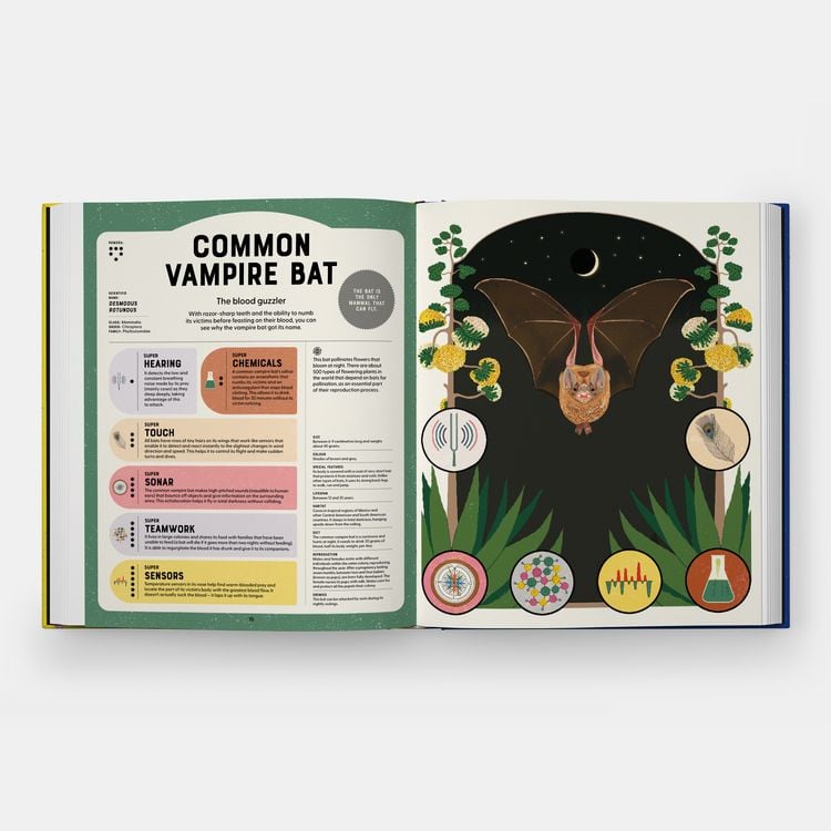 Produktbild: Superpowered Animals