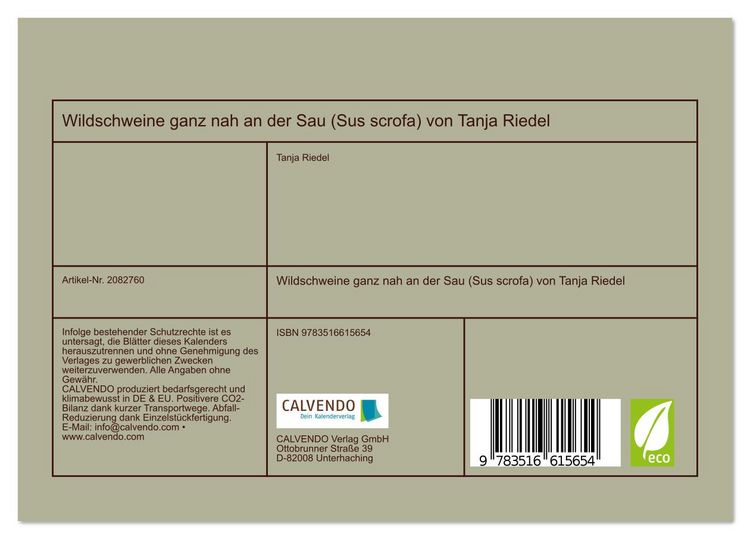 Produktbild: Wildschweine ganz nah an der Sau (Sus scrofa) von Tanja Riedel (Tischkalender 2026 DIN A5 quer), CALVENDO Monatskalender