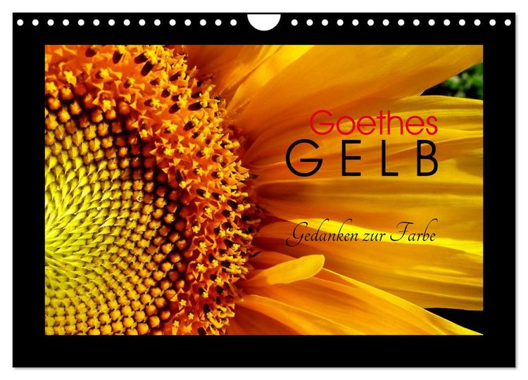 Produktbild: Goethes Gelb Gedanken zur Farbe (Wandkalender 2026 DIN A4 quer), CALVENDO Monatskalender