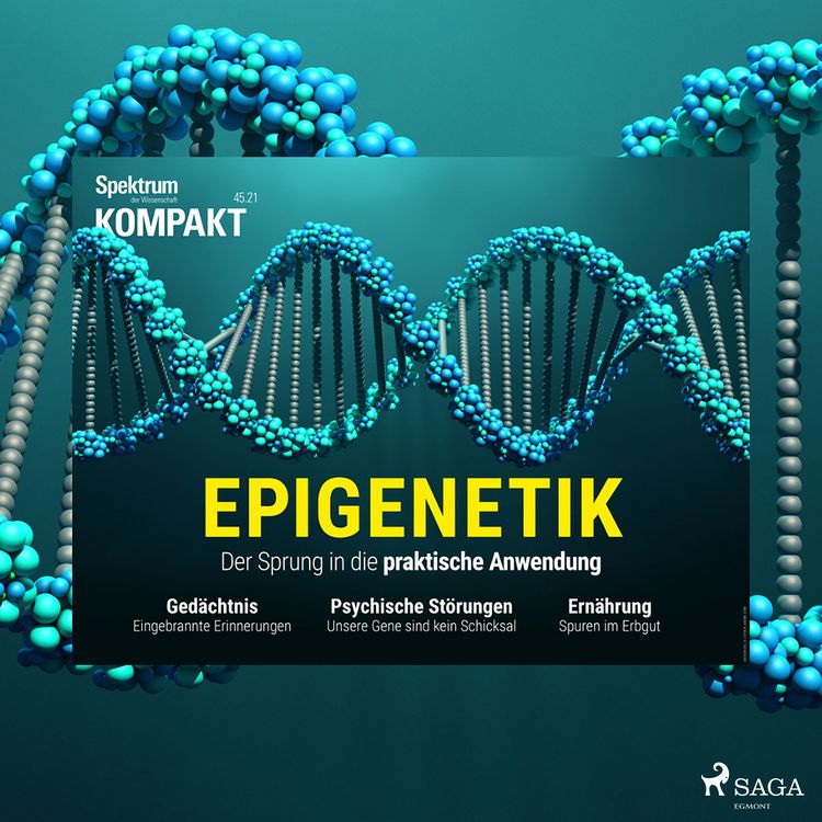Produktbild: Spektrum Kompakt: Epigenetik - Der Sprung in die praktische Anwendung