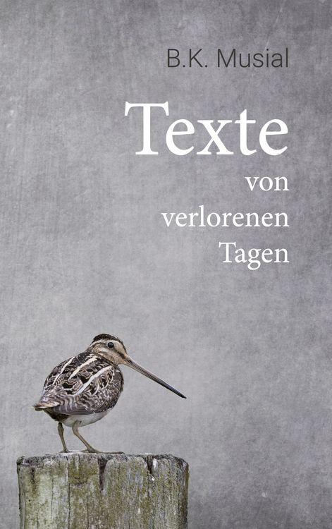 Produktbild: Texte von verlorenen Tagen