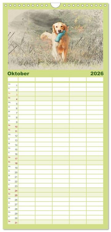 Produktbild: Familienplaner 2026 - Golden Retriever mit 5 Spalten (Wandkalender, 21 x 45 cm) CALVENDO