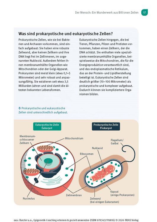 Produktbild: Epigenetik-Coaching erlernen & gezielt anwenden