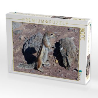 Produktbild: CALVENDO Puzzle Ausschau halten | 1000 Teile Lege-Gr&ouml;&szlig;e 64x48cm Foto-Puzzle f&uuml;r gl&uuml;ckliche Stunden