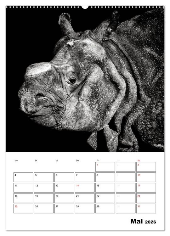 Produktbild: Charakterk&ouml;pfe aus der Welt der Tiere (hochwertiger Premium Wandkalender 2026 DIN A2 hoch), Kunstdruck in Hochglanz