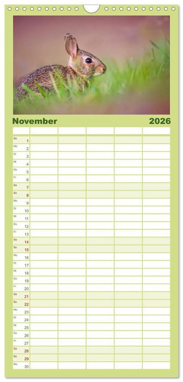 Produktbild: Familienplaner 2026 - Feldhasen und Kaninchen mit 5 Spalten (Wandkalender, 21 x 45 cm) CALVENDO
